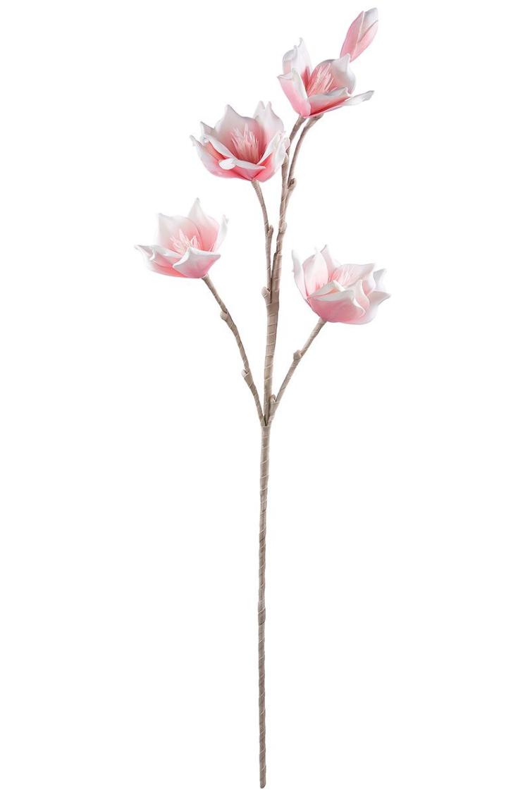 Foam Flower `Lagarto` rose/weiß 5 Blüten