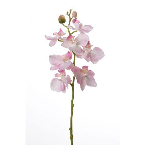 Deko Orchidee/7`Pha-laenopsis`