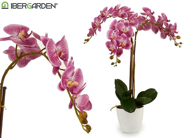 Orchidee Jumbo 80cm