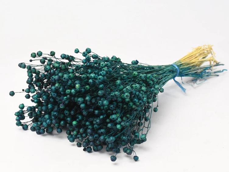 Getrocknete Blume Lino Blaugrün