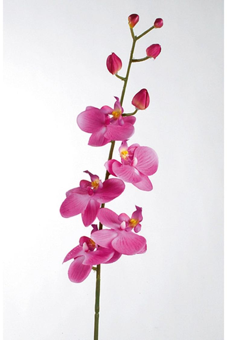 Deko Orchidee