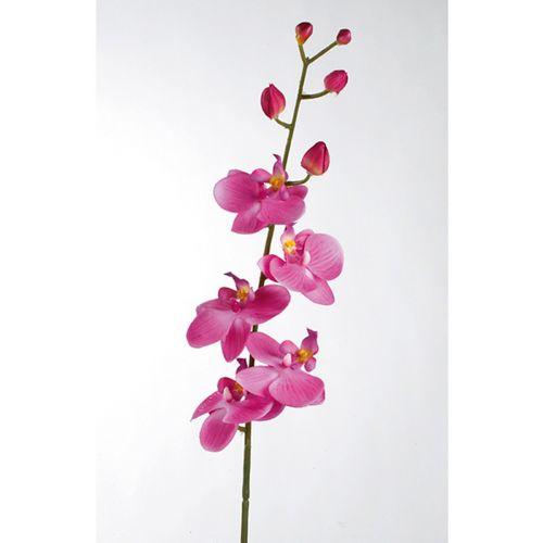 Deko Orchidee `Phalaenopsis`