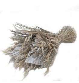 GF Dried Bq Sheaf Avain Palmspear D25 H35 Natural